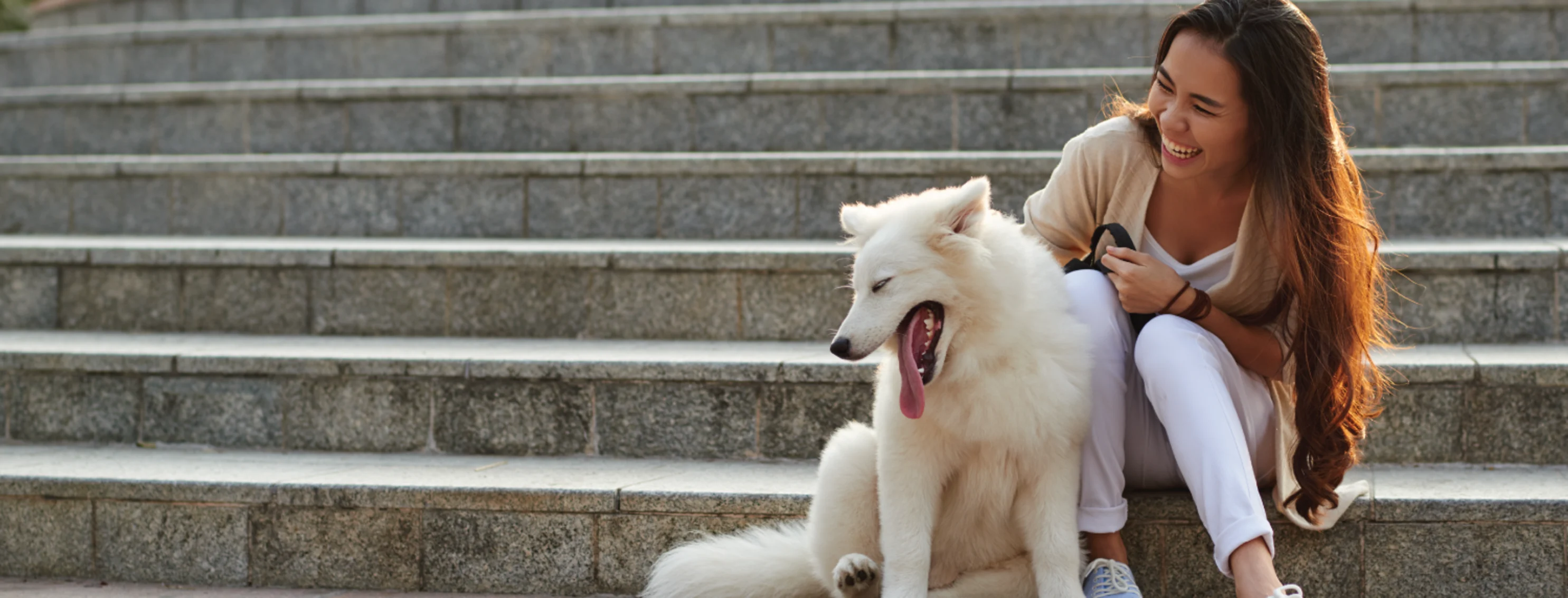 Dog on long stairs with woman