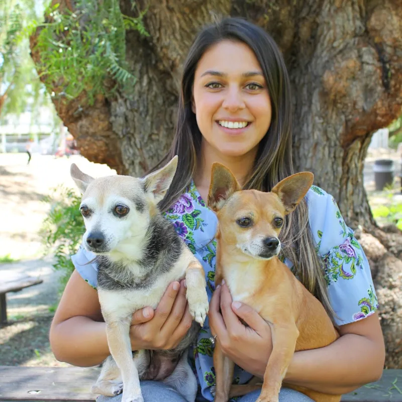 Dr. Sabina Hyland, DVM at Midland Animal Clinic Dr. Sabina Hyland, DVM at Midland Animal Clinic