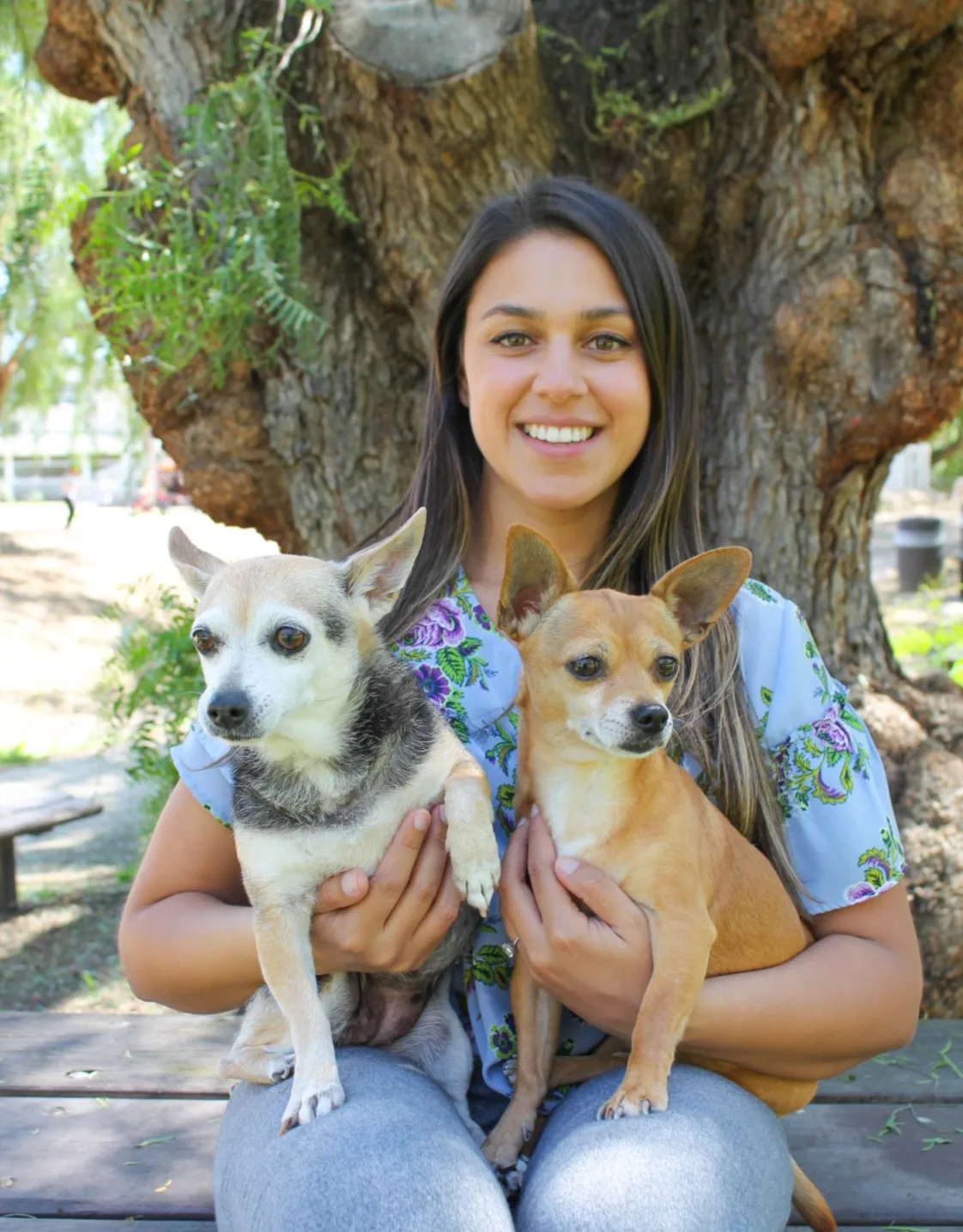 Dr. Sabina Hyland, DVM at Midland Animal Clinic Dr. Sabina Hyland, DVM at Midland Animal Clinic