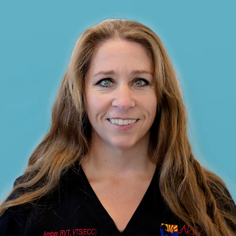 Amber Eggers, RVT, VTS (ECC) Amber Eggers, RVT, VTS (ECC)