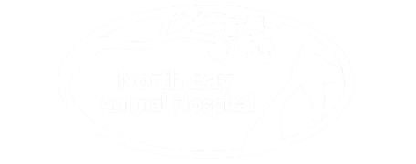 North Bay Animal Hospital Logo North Bay Animal Hospital Logo