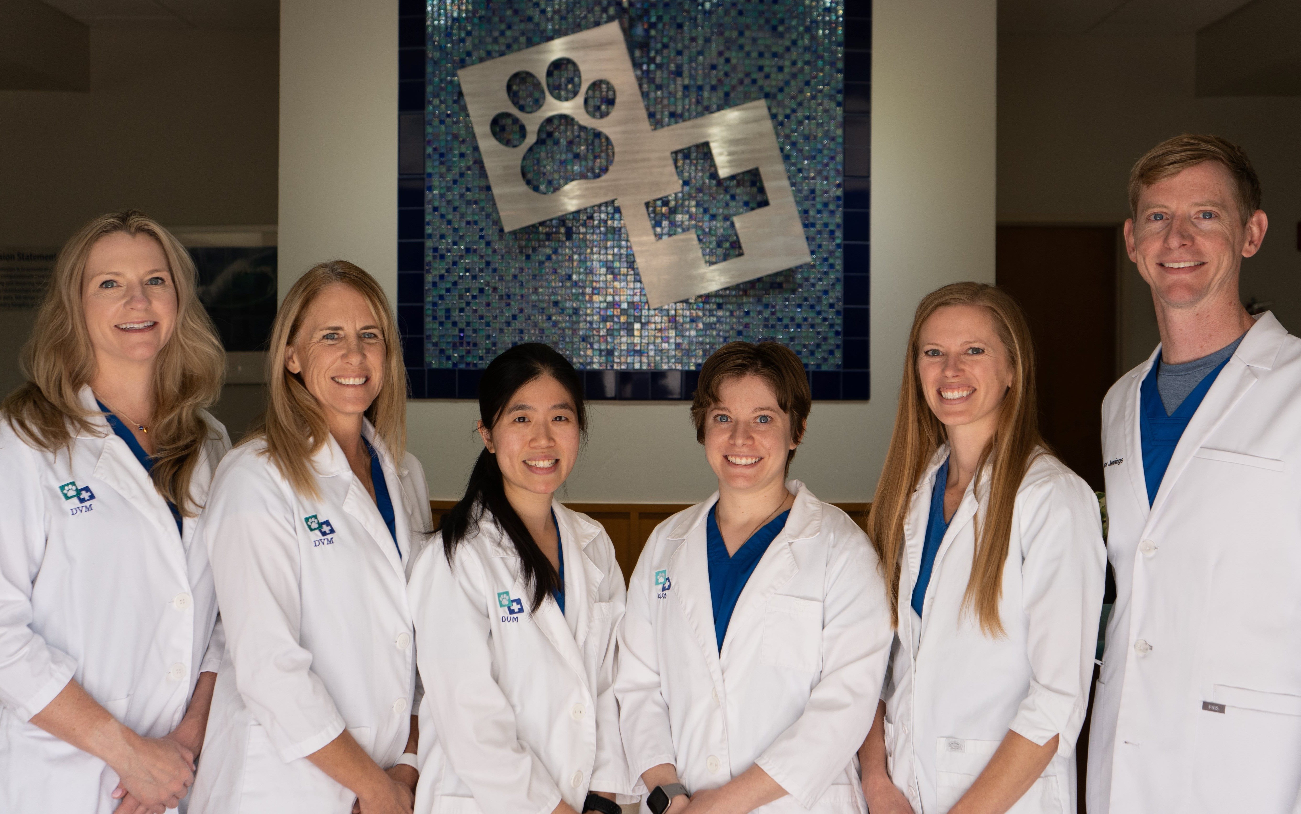 Veterinarians at McClintock Animal Care Center