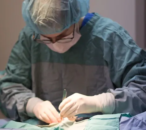 Hayley Robbins performing surgery. Hayley Robbins performing surgery.