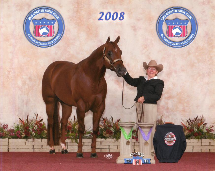 2008 Champion at Delmarva Equine Clinic