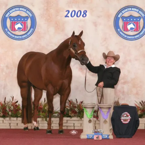 2008 Champion at Delmarva Equine Clinic
