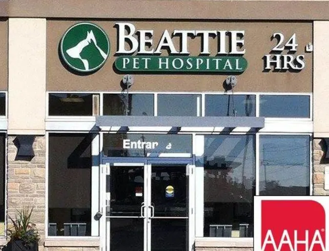 Beattie Pet Hospital – Stoney Creek - Exterior Beattie Pet Hospital – Stoney Creek - Exterior