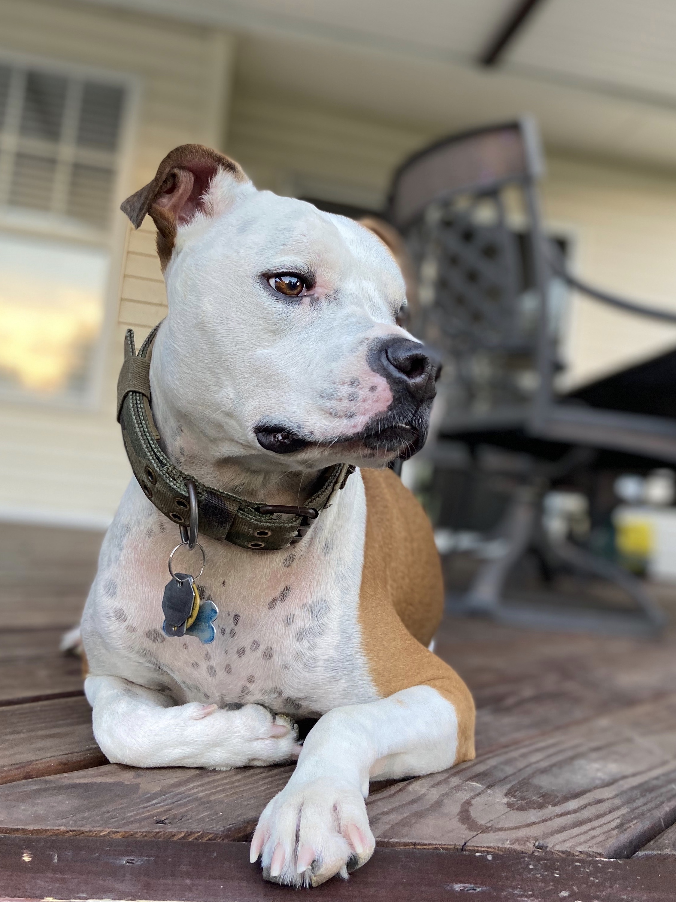 Jax Weaver 2014-2025