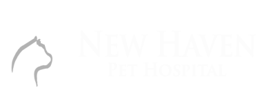 New Haven Pet Hospital - Footer Logo