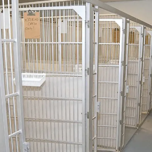 Longwood Animal and Pet Resort kennels Longwood Animal and Pet Resort kennels