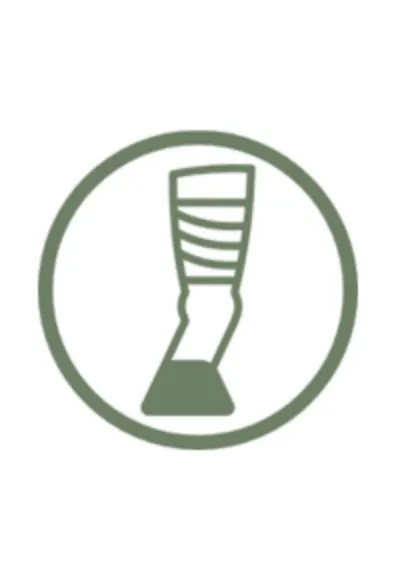 Lameness green icon Lameness green icon