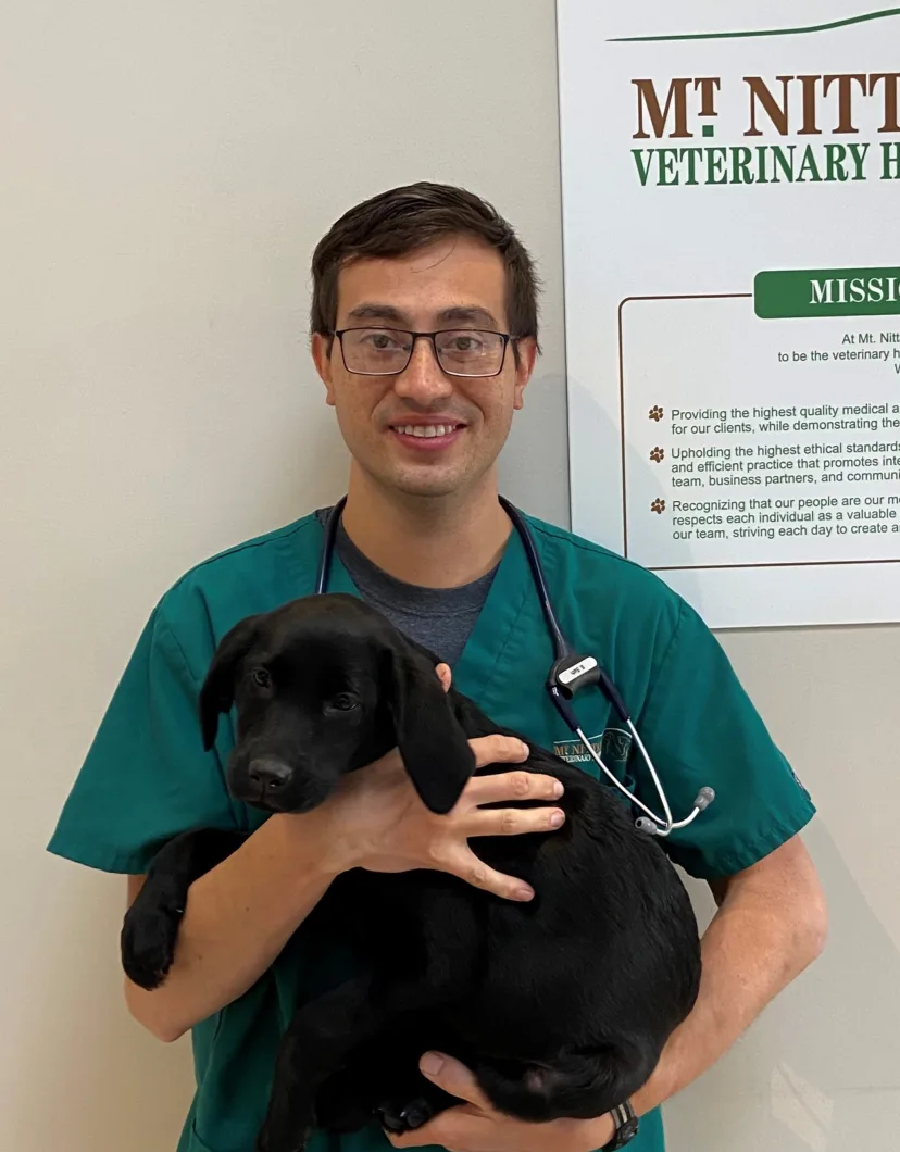 Dr. Sath holding black puppy at Mt. Nittany Veterinary Hospital