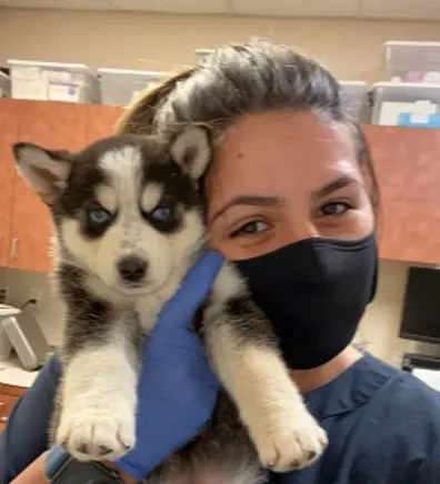 Kara holding onto a husky puppy. Kara holding onto a husky puppy.