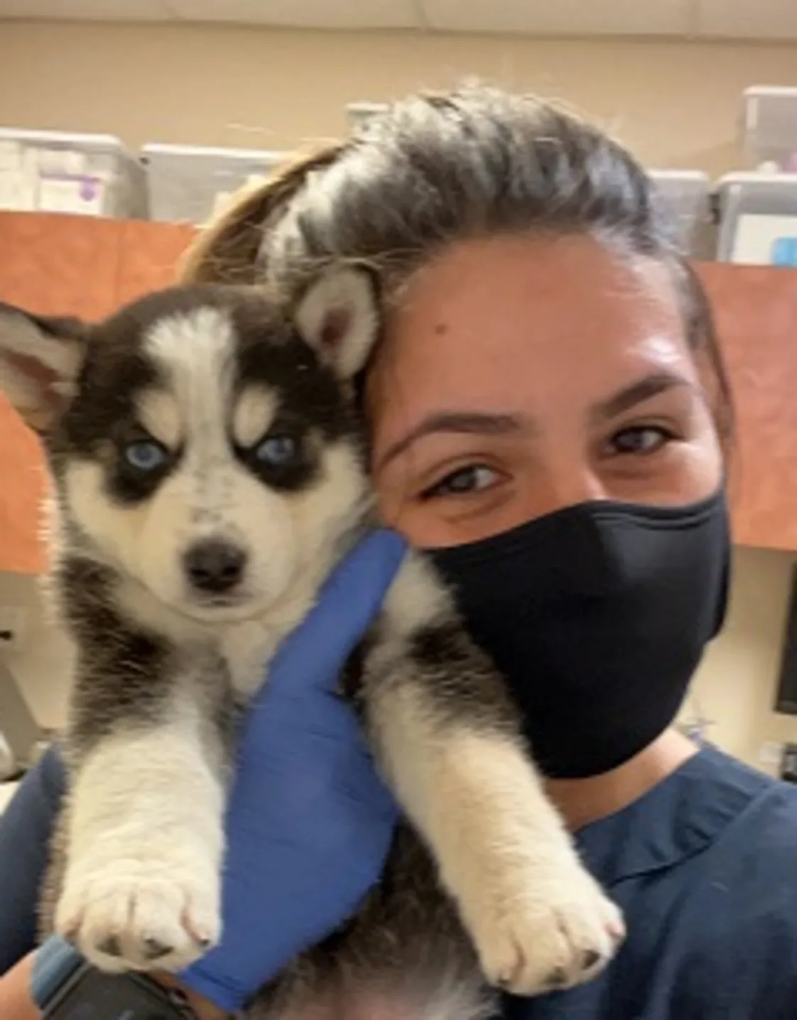Kara holding onto a husky puppy. Kara holding onto a husky puppy.