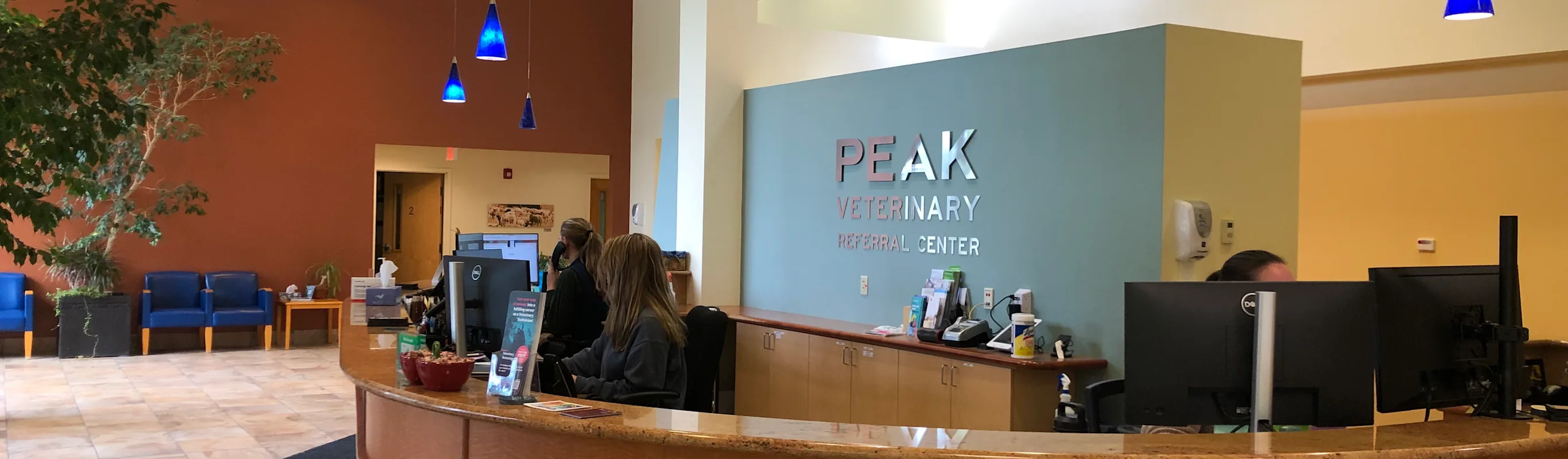 Peak Veterinary Referral Center Reception Desk Area Peak Veterinary Referral Center Reception Desk Area