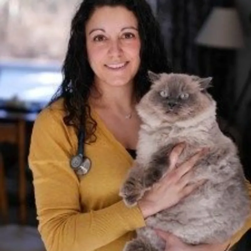 Dr. Jessica Dias of Northampton Veterinary Clinic inside a building, holding a cat Dr. Jessica Dias of Northampton Veterinary Clinic inside a building, holding a cat