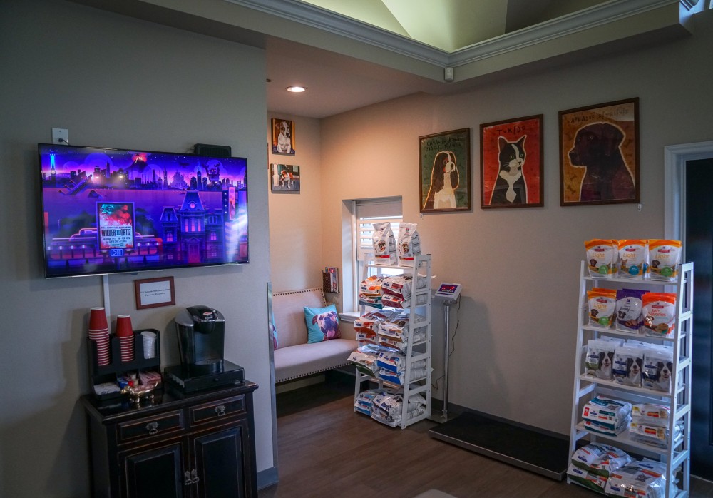 Waiting area of Hill Country Animal Hospital