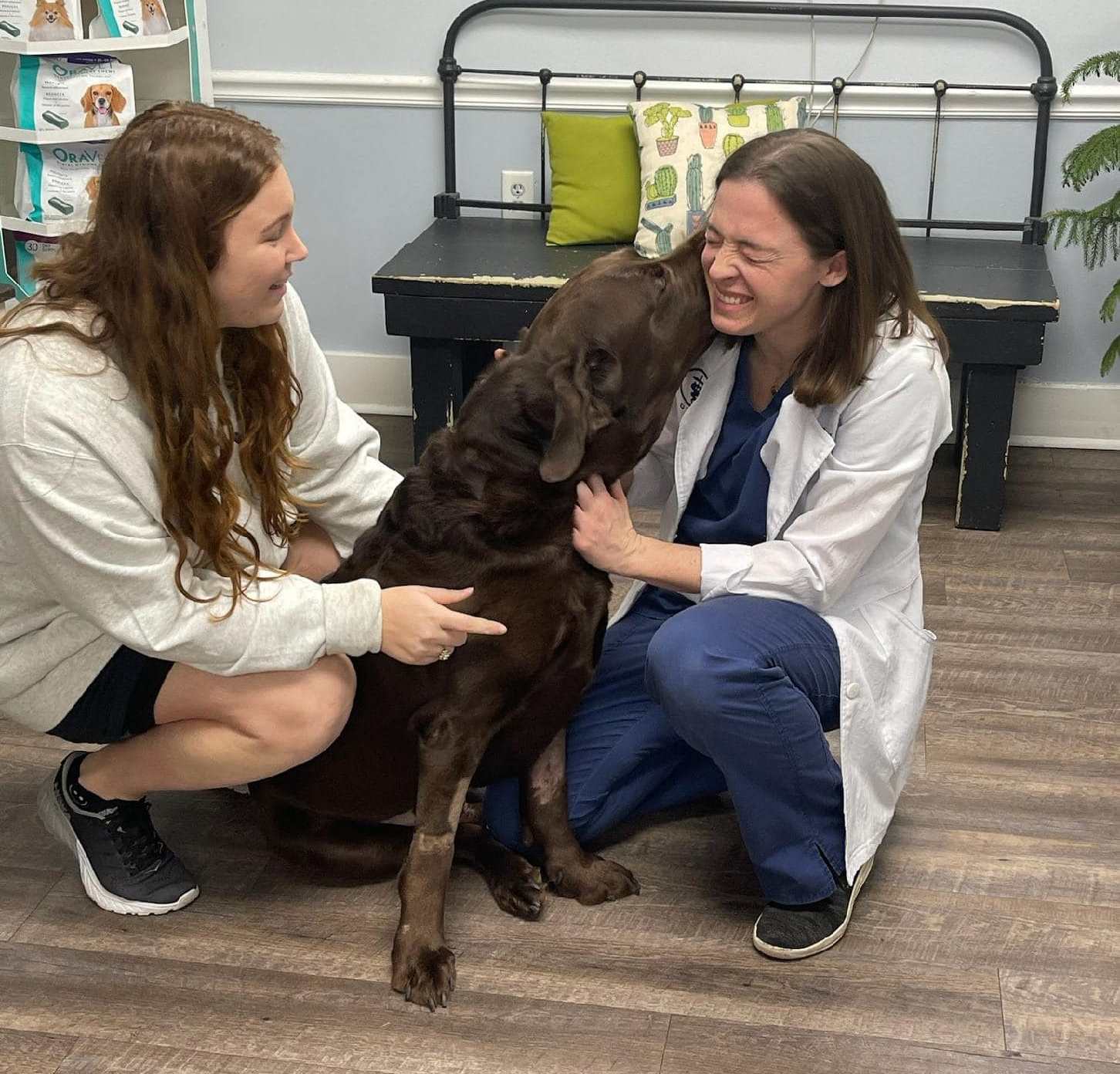 Dog licking Dr. Croy