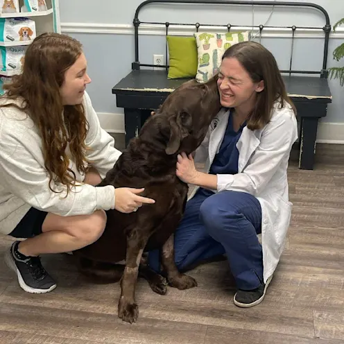 Dog licking Dr. Croy Dog licking Dr. Croy