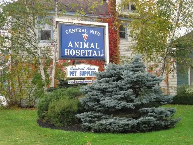 Central Nova Animal Hospital Sign