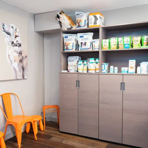 Waiting area and shelving with dog medication at The Valley Veterinary Hospital
