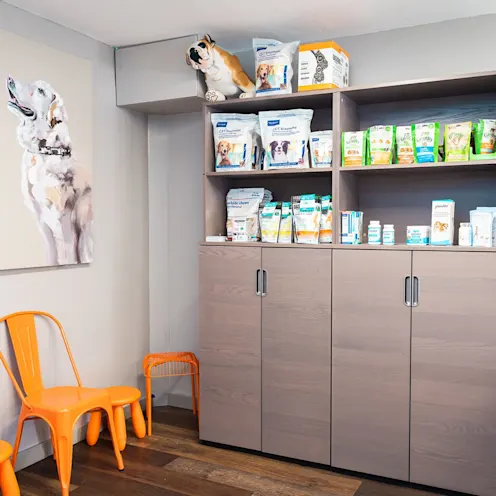 Waiting area and shelving with dog medication at The Valley Veterinary Hospital Waiting area and shelving with dog medication at The Valley Veterinary Hospital