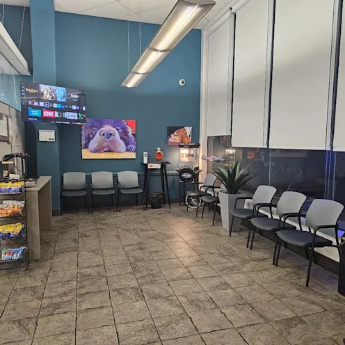 Reception area at Fresno Veterinary Specialty & Emergency Center. Reception area at Fresno Veterinary Specialty & Emergency Center.