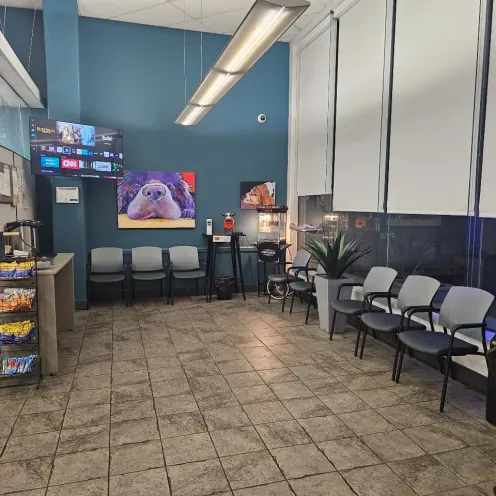 Reception area at Fresno Veterinary Specialty & Emergency Center.
