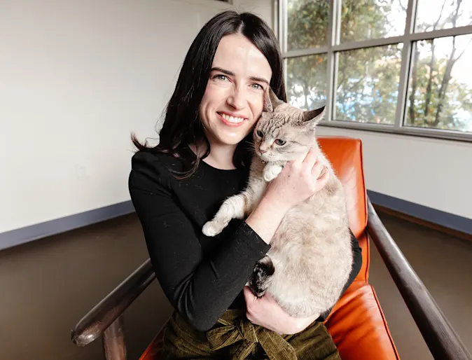 Veterinarian holding a kitten Veterinarian holding a kitten