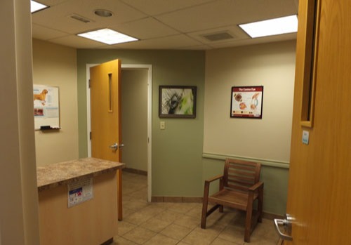 Hermitage Veterinary Hospital Exam Room