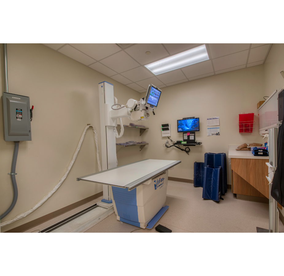 Digital X-ray Room at VetMed Emergency & Specialty Veterinary Hospital