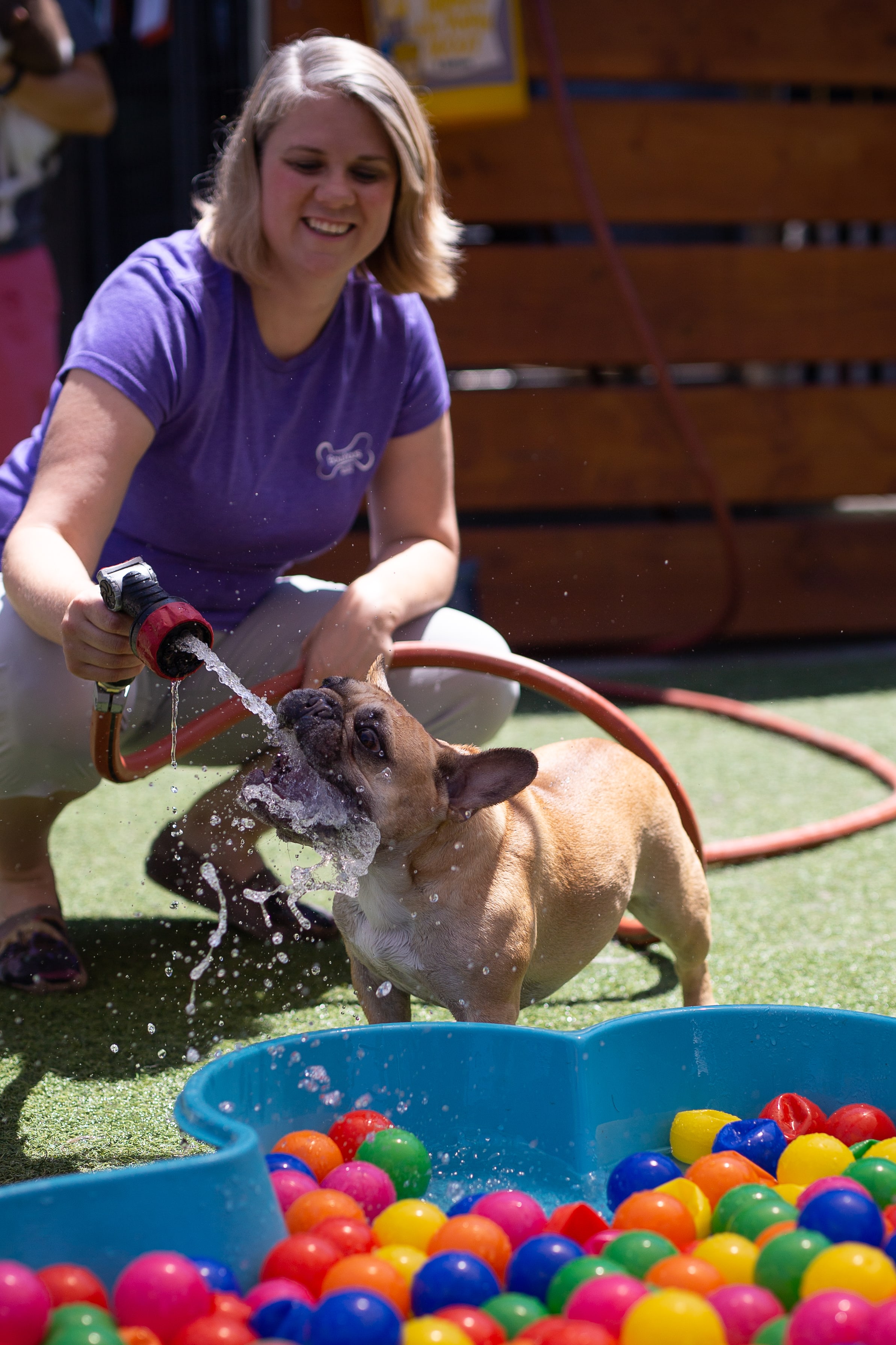 Staff hosing dog at Bowhaus in Boulder, CO