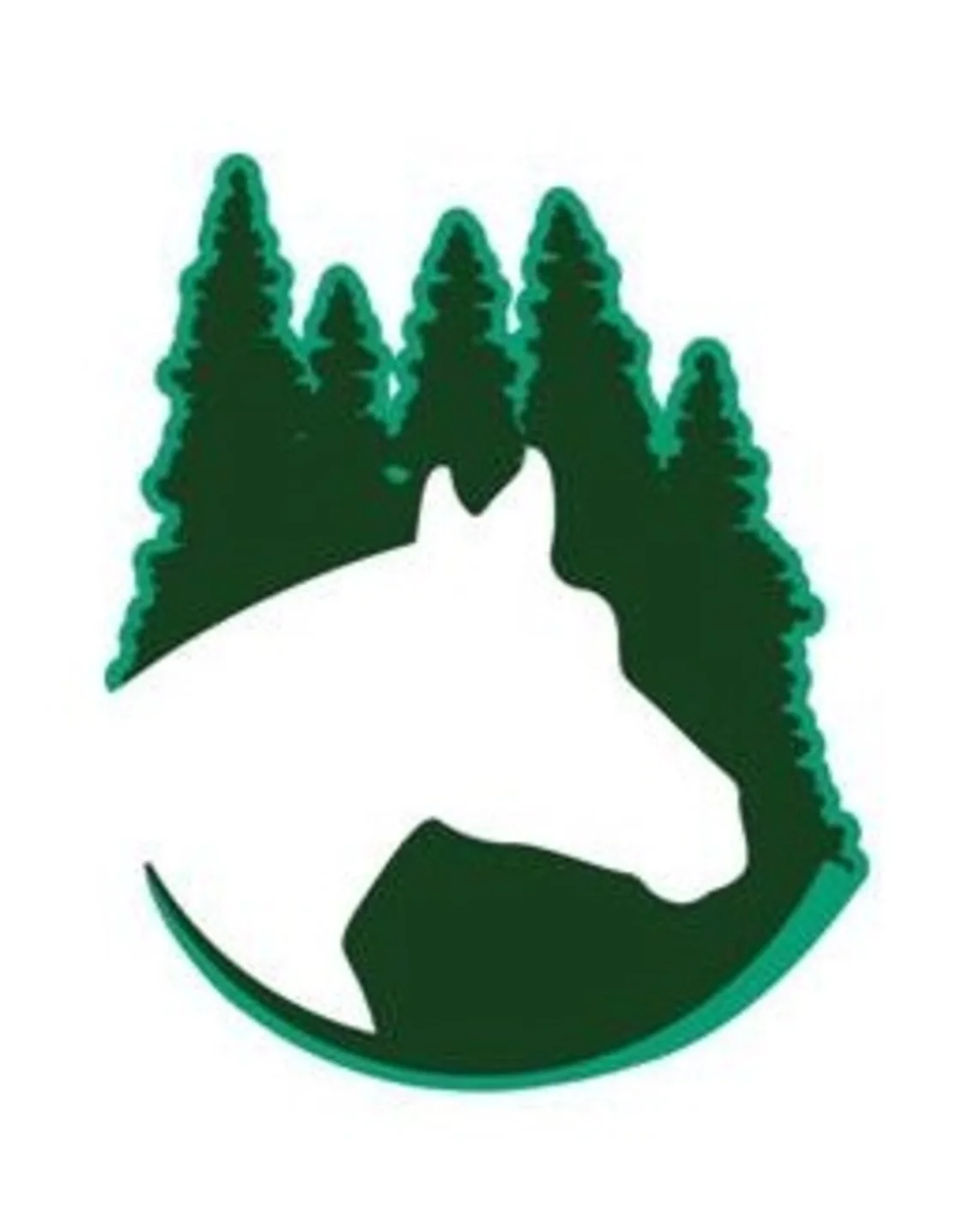 Hailey Hoder Hailey Holder | Pine Ridge Equine Hospital