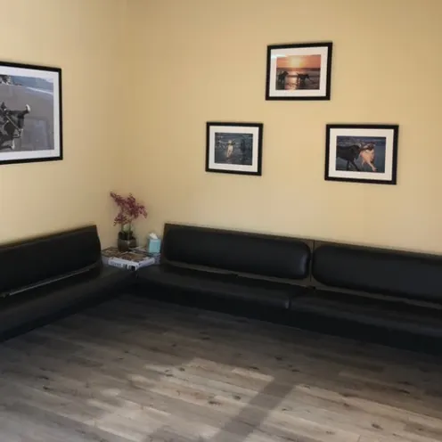 Calabasas Animal Clinic Waiting Room which consits of two dark brown leather benches and a few picture frames on the wall