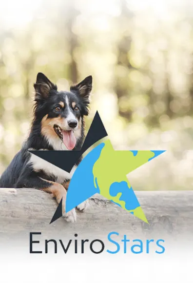 Dog sitting on a log in a forest with the Envirostars logo in foreground