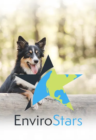 Dog sitting on a log in a forest with the Envirostars logo in foreground Dog sitting on a log in a forest with the Envirostars logo in foreground