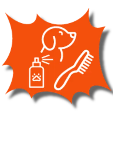 Dog, brush, and cleaning product icons on an orange background