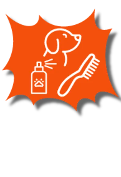 Dog, brush, and cleaning product icons on an orange background