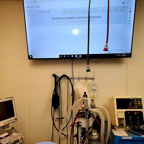 ICU equipement and tech at Westbridge Veterinary Referral Hospital ICU equipement and tech at Westbridge Veterinary Referral Hospital