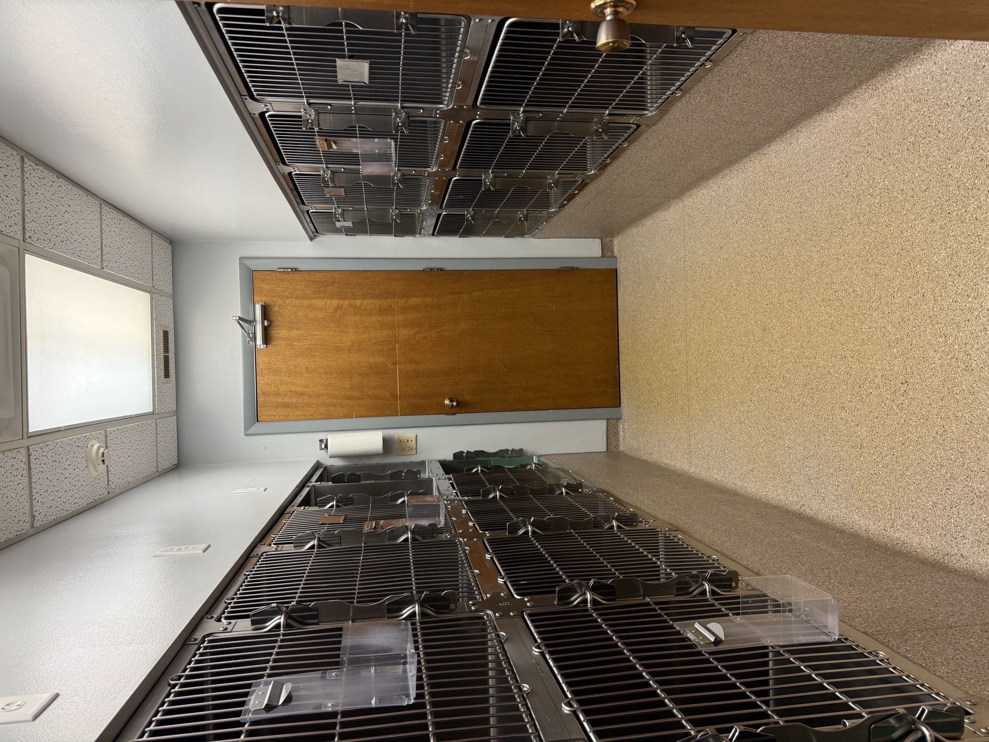 Kennel Hallway at Kokomo Animal Hospital