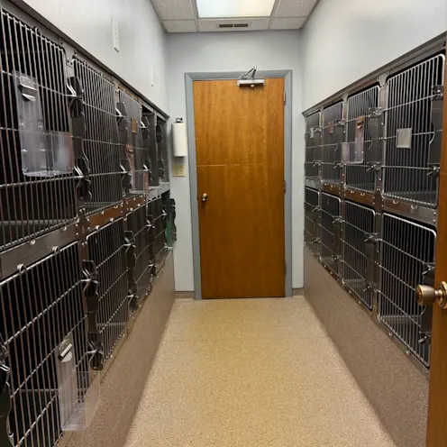 Kennel Hallway at Kokomo Animal Hospital Kennel Hallway at Kokomo Animal Hospital