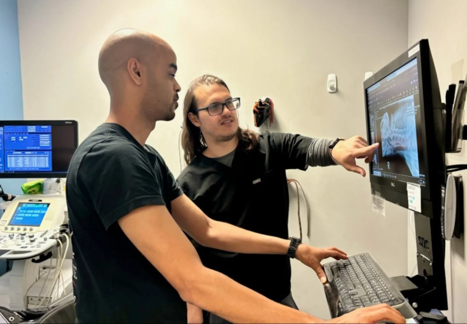 Two veterinarians standing and looking at x-ray images Two veterinarians standing and looking at x-ray images