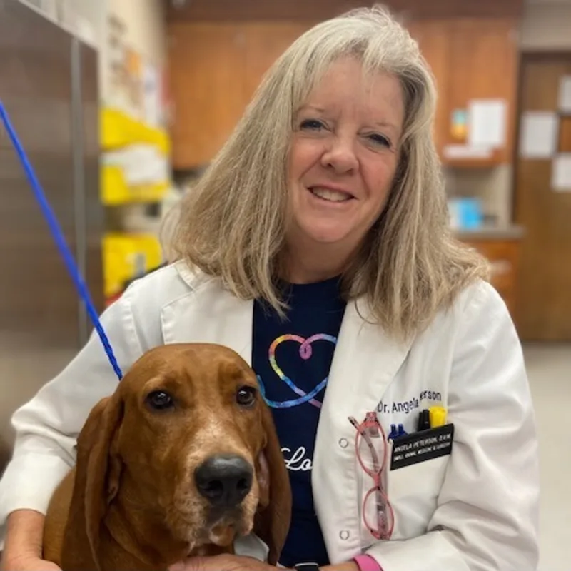 Angela Peterson Angela Peterson