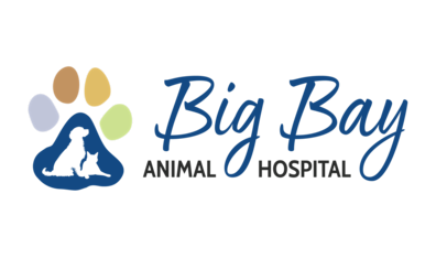 Big Bay Animal Hospital Logo