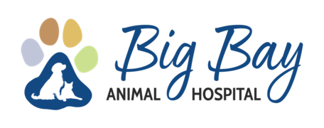 Big Bay Animal Hospital Logo Big Bay Animal Hospital Logo
