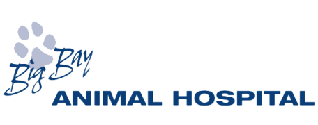 Big Bay Animal Hospital Logo