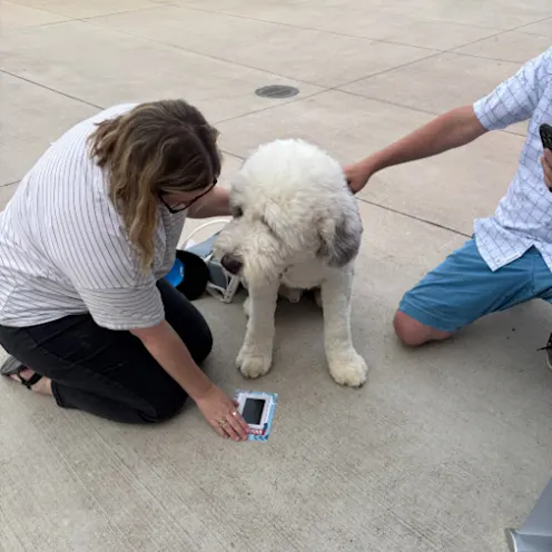 Dog Days at Toyota Field with North Alabama Veterinary Emergency & Specialty Dog Days at Toyota Field with North Alabama Veterinary Emergency & Specialty