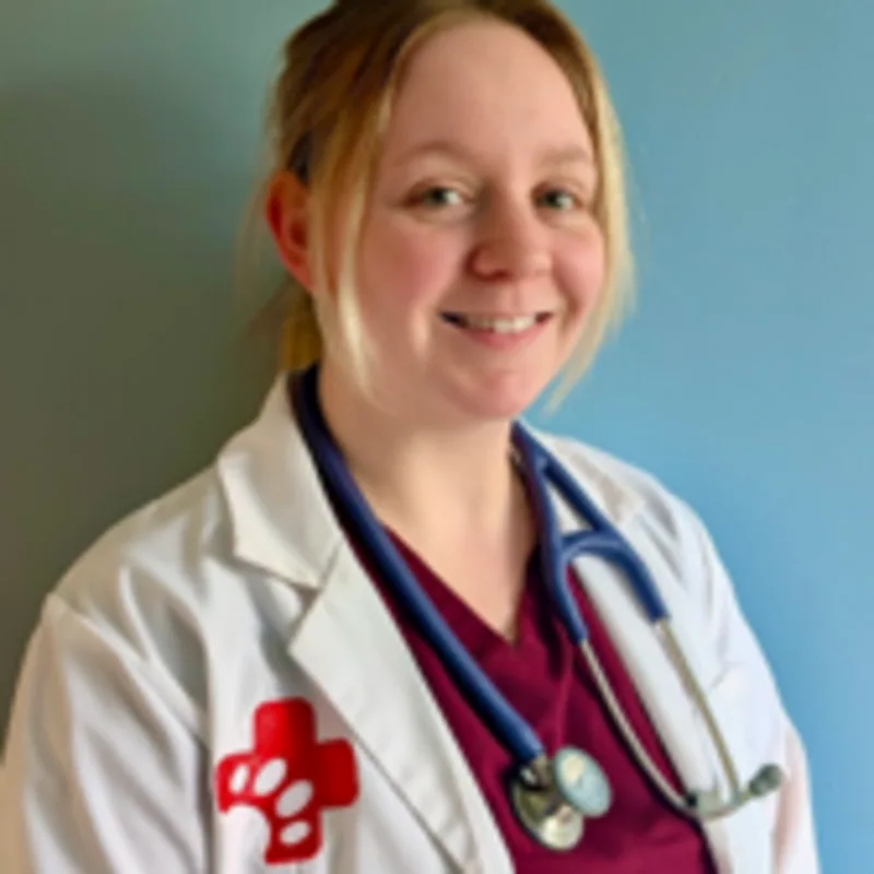 Dr. Kari Payton Dr. Kari Payton