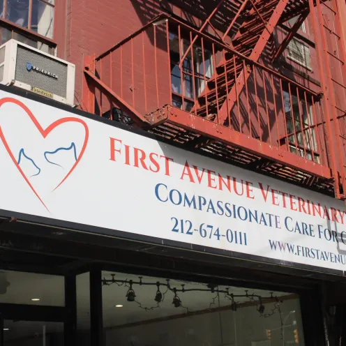 Welcome to First Avenue Veterinary Hospital!