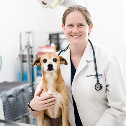 Dr. Ellen Newsome, veterinarian at AMC Tuscaloosa. 