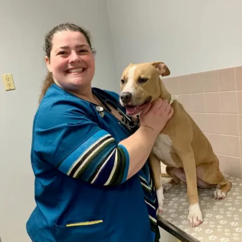 Dr. Byerley Dr. Byerley